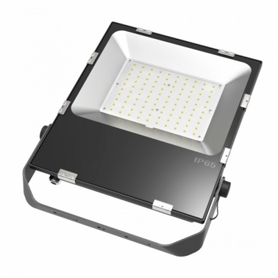 Đèn chiếu sáng chống lũ ngoài trời 50w 270v 100-110 Lm / w